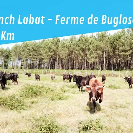 Casa Enolla * Gourbera