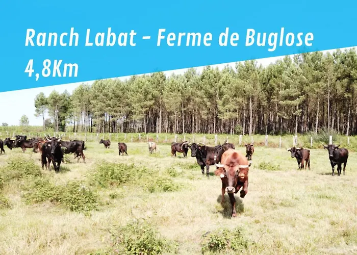 Casa Enolla * Gourbera